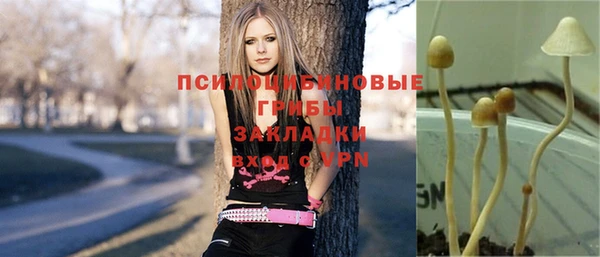 таблы Козельск