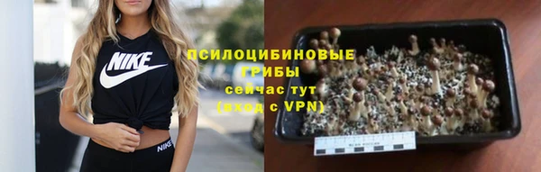 гашик Кинешма