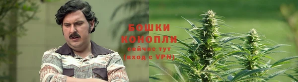 таблы Козельск