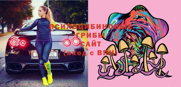гашик Кинешма